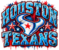 Texans Bull